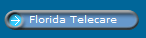 Florida Telecare